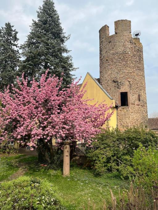 La Jolie Maison Bleue, Au Coeur De L'Alsace ケゼルスベール エクステリア 写真