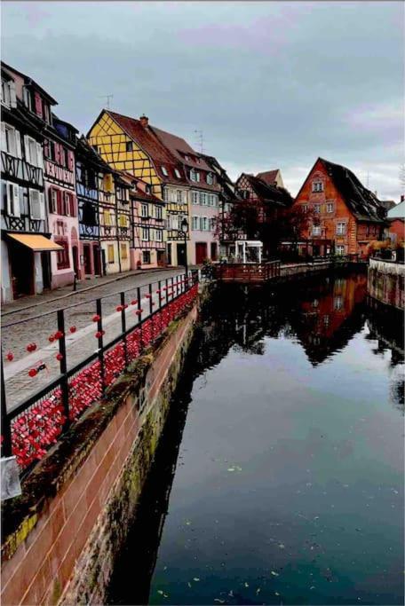 La Jolie Maison Bleue, Au Coeur De L'Alsace ケゼルスベール エクステリア 写真