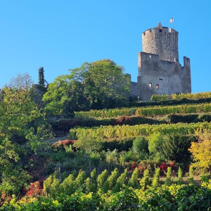 La Jolie Maison Bleue, Au Coeur De L'Alsace ケゼルスベール エクステリア 写真