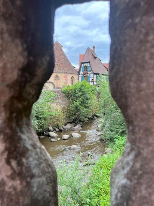 La Jolie Maison Bleue, Au Coeur De L'Alsace ケゼルスベール エクステリア 写真
