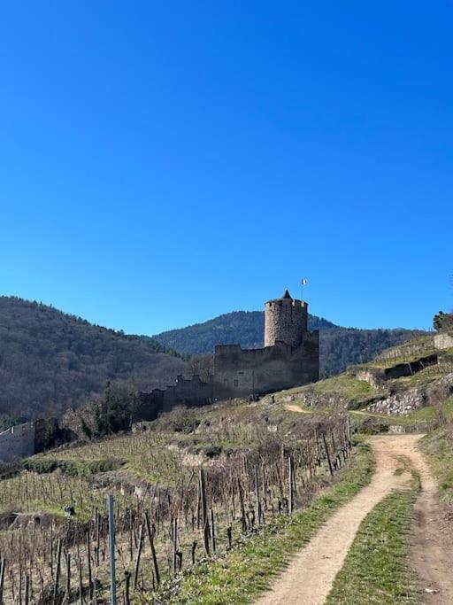 La Jolie Maison Bleue, Au Coeur De L'Alsace ケゼルスベール エクステリア 写真